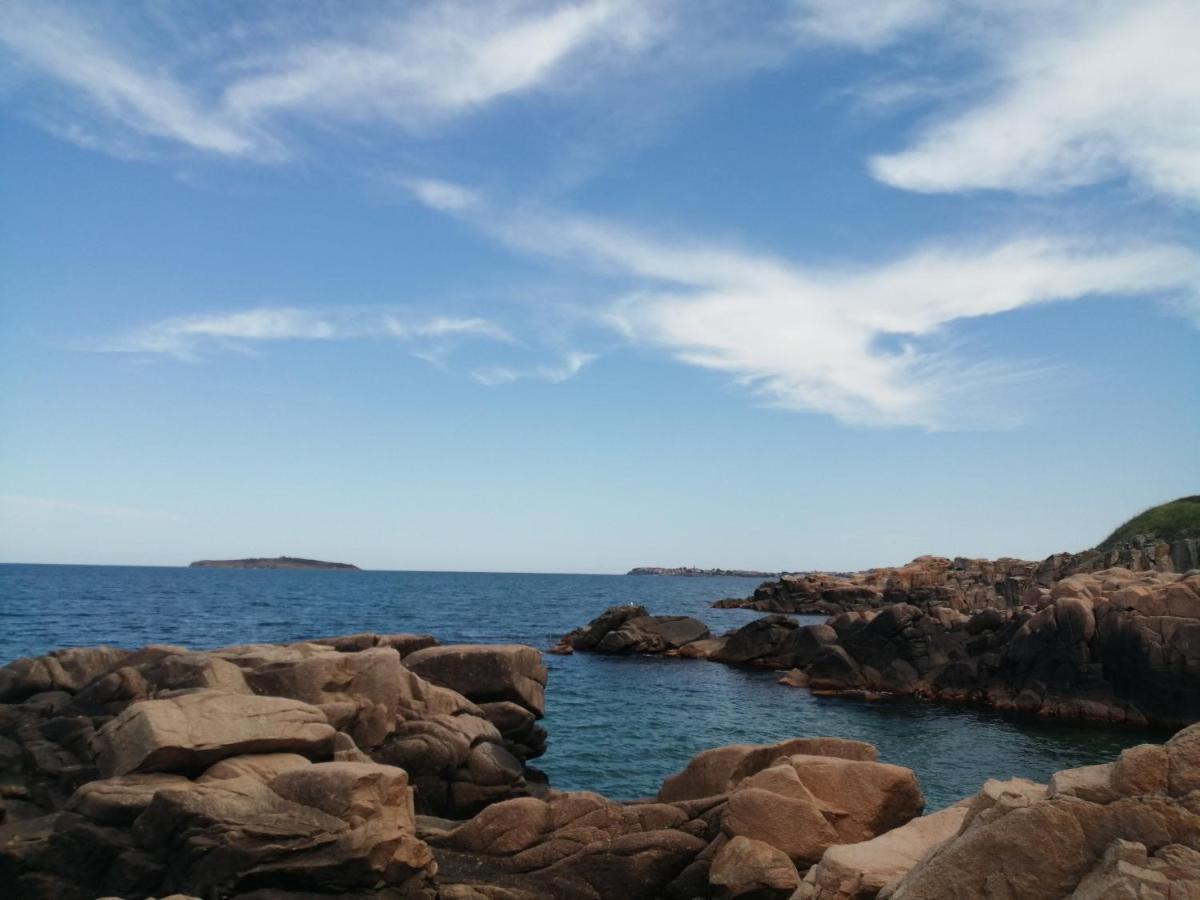 Apartments Del Sol - Sunny Island Complex Chernomorets Bagian luar foto